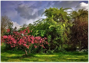 Poszterek 100x70 Tájkép