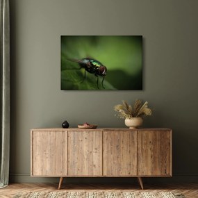 Kép - Légy (90x60 cm)