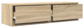 TV Szekrény Sonoma Tölgy 100x31x25,5 cm Mérnöki Fa