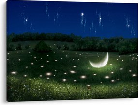 Kép - zuhanó égbolt (70x50 cm)