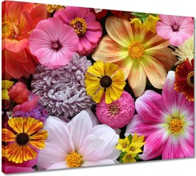 Vászonkép 50x40 Virág kompozíció Virág
