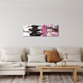 Masszázs kövek és orchideák képe (órával) (90x30 cm)