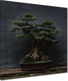 Vászonkép 90x90 Bonsai Fa Kultúra