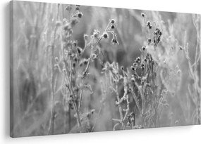Kép - Wild Meadow (90x60 cm)