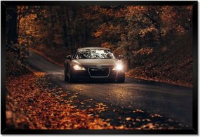 Poszter keretben 60x40 Audi Őszi tájkép