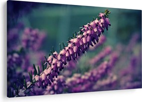 Levandula képe (90x60 cm)
