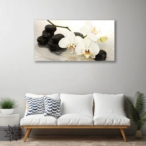 Vászonkép falra Szép virág orchidea 100x50 cm