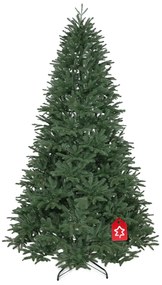 Szibériai jegenyefenyő 100 % 210 cm