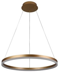 Brilagi - LED Dimmelhető csillár zsinóron CIRCLE LED/42W/230V 3000-6500K + távirányító