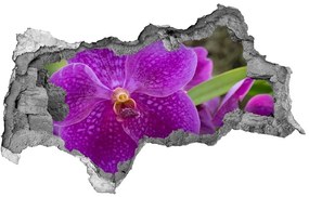 3d-s lyukat fali matrica Orchidea nd-b-64607986