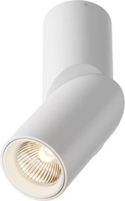 Maytoni modern spot lámpa dafne fehér myc027cl-l10w