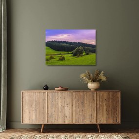 Rét képe (üvegen) (70x50 cm)