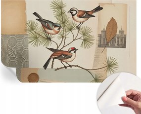 Dekoratív öntapadós fotótapéta Hálószobába Madarak collage 416x254 cm