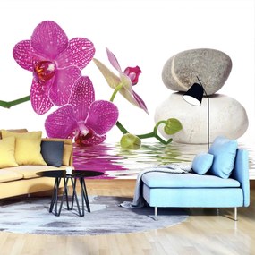 Fotótapéta - Orchideák (152,5x104 cm)