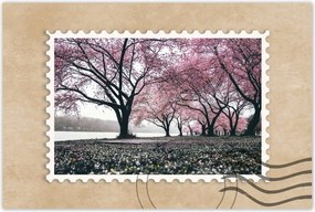 Poszterek 120x80 Fa Fák Kilátás