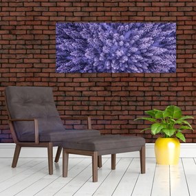 Havas fák képe (120x50 cm)