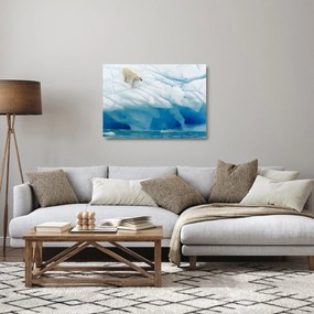 Üveg kép - Jegesmedve (70x50 cm)