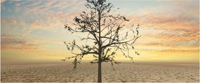 Kép - fa a sivatagban (120x50 cm)
