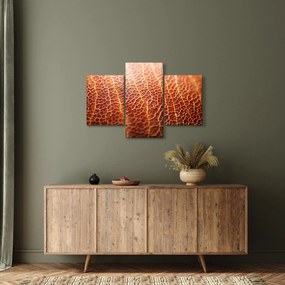 Kép - Textúra részlet (90x60 cm)