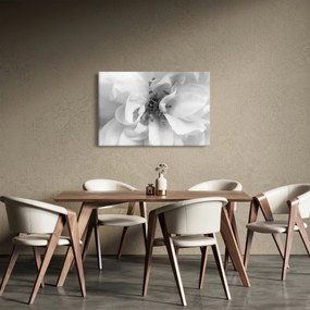 Kép - Virág, fekete-fehér (90x60 cm)