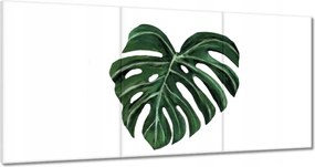 Vászonkép 60x30 Monstera deliciosa Levél