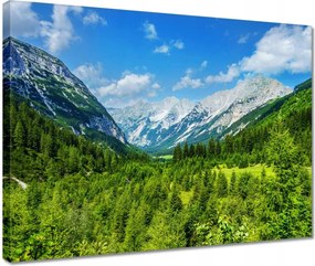 VĂĄszonkĂ©p 40x30 Hegyi tĂĄj gyönyörƱ felhĆkkel FĂĄk a hegyekben