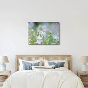 Kép - Finom virágok (70x50 cm)