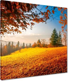 Vászonkép 50x50 Őszi táj hegyek