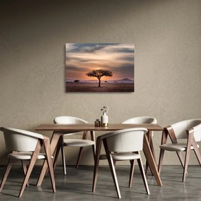 Naplemente képe Tanzániában (üvegen) (70x50 cm)
