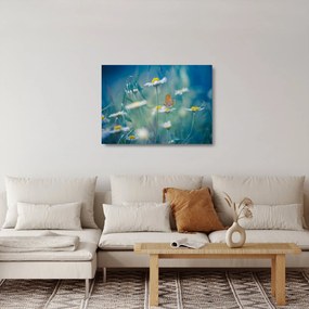Kép - pillangó a százszorszépen (üvegen) (70x50 cm)
