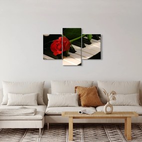 Kép - Zongora és rózsák (90x60 cm)