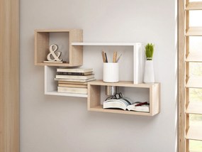 Trio 005 falipolc
