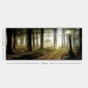 Vászonkép, 50×120 cm – TR451ERN1413