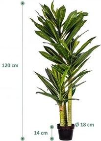 PLANTASIA Műnövény Dracaena 120 cm 81 levél