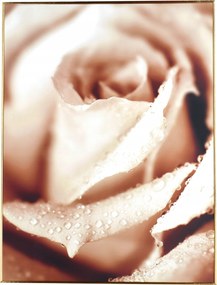 Falikép virágok rózsák arany keretben 50x38 cm nyomtatás a nappaliba