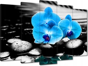 Vászonkép 70x50 Kék orchidea