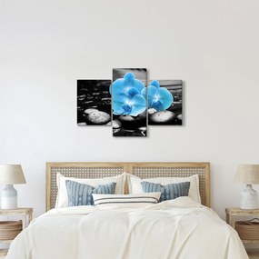 Kép - Kék orchidea (90x60 cm)