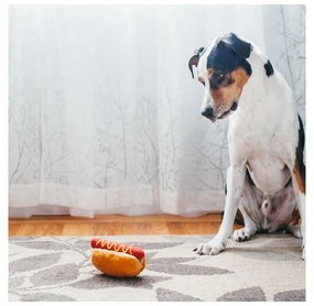 Játék kutyáknak Hot Dog - P.L.A.Y.
