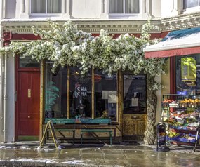 Poszter 60x50cm Maida Vale a hóban 2, Assaf Frank