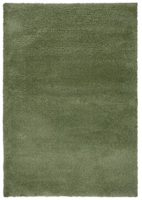 Zöld szőnyeg 120x170 cm – Flair Rugs