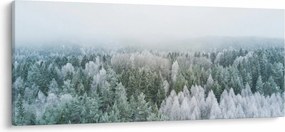 Kép - Havas erdőcsúcsok (120x50 cm)
