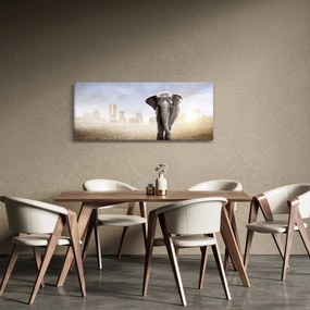 Kép - Elefánt egy nagyvárosban (120x50 cm)