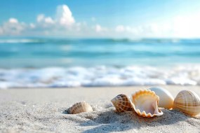 Vászonkép Canvas Tenger Víz Tengerpart Homok Kagyló 60x40