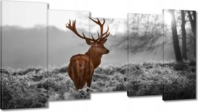 Vászonkép 150x80 Méltóságteljes szarvas szarvakkal