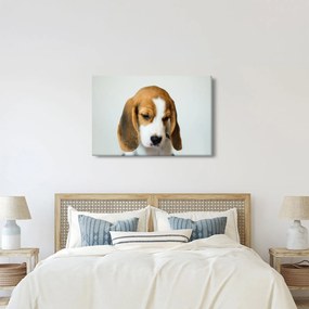 Beagle képe (90x60 cm)