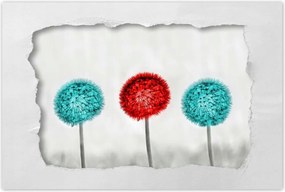 Poszterek 120x80 Piros pitypang