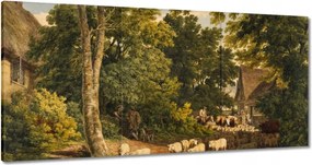 Vászonkép 120x60 Bárányok bárányok