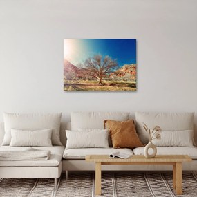 Fa a sivatagban képe (70x50 cm)