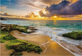 Divatos Flizelin Tapéta Ragasztóval Fali 3D Tengeri harmónia 152x104 Ragasztó