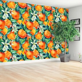 Fotótapéta Narancs gyümölcs 104x70 cm